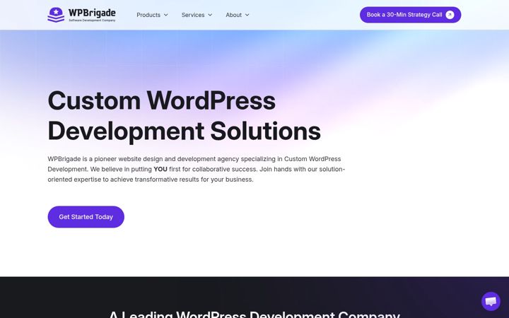 Screenshot ta' wpbrigade.com