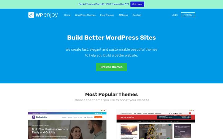 Screenshot of wpenjoy.com