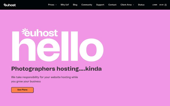 Screenshot of wphost.pro