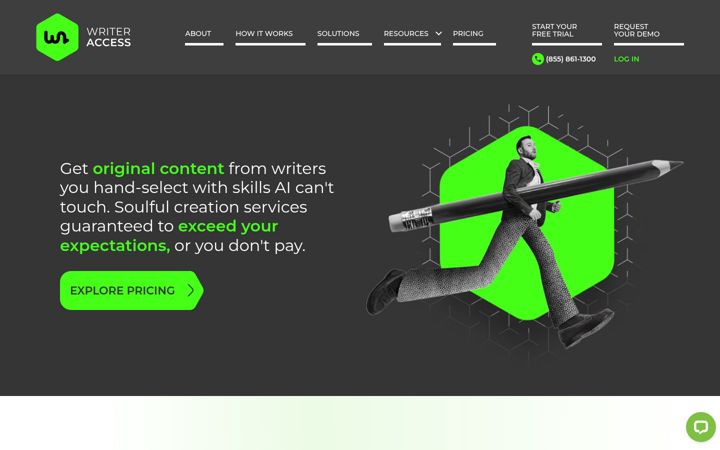 Screenshot of writeraccess.com