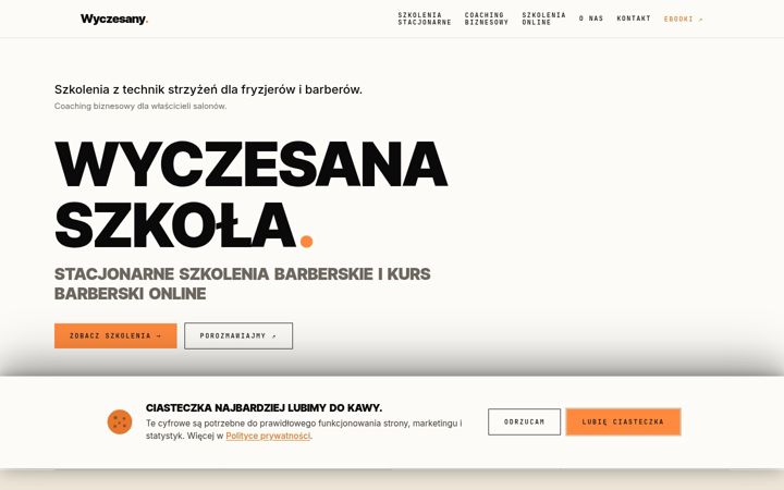 Screenshot of wyczesany.com