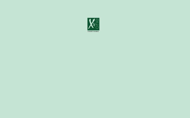 Screenshot of x41.ch