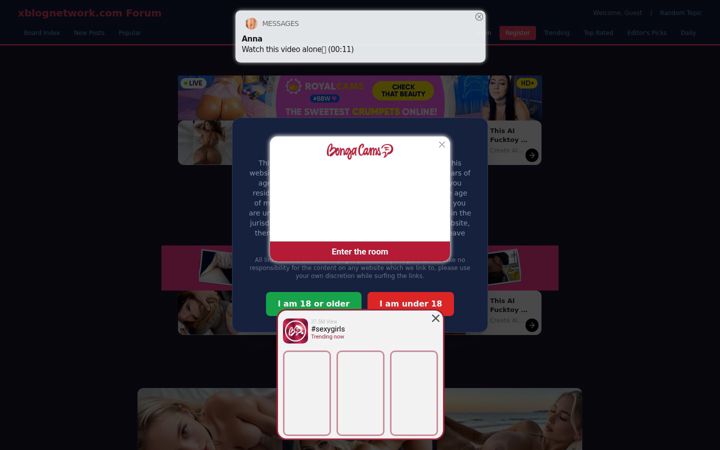 Screenshot of xblognetwork.com