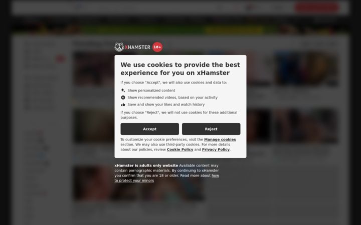Snímek obrazovky xhamster1.desi