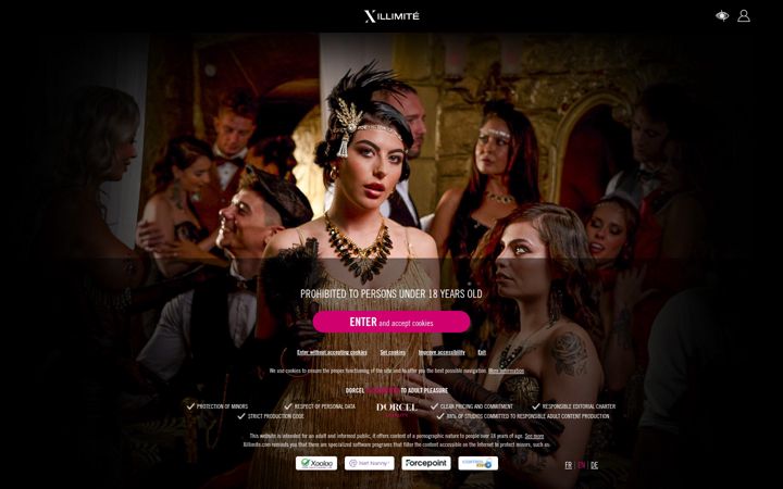 Screenshot of xillimite.com