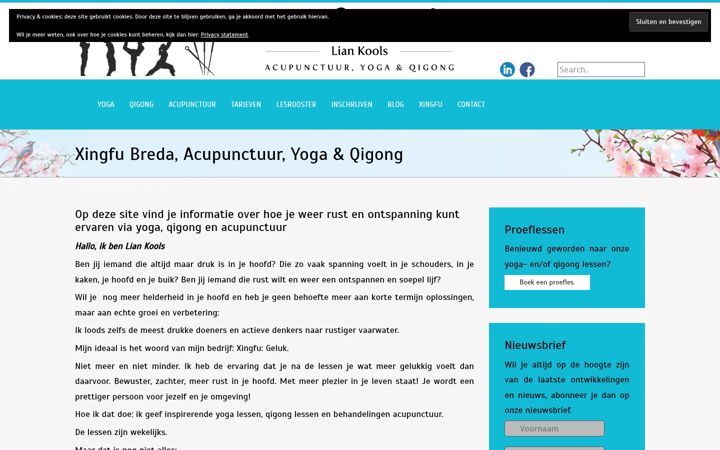 Snímek obrazovky xingfubreda.nl