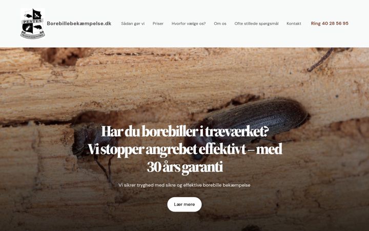 Screenshot of xn--borebillebekmpelse-zub.dk