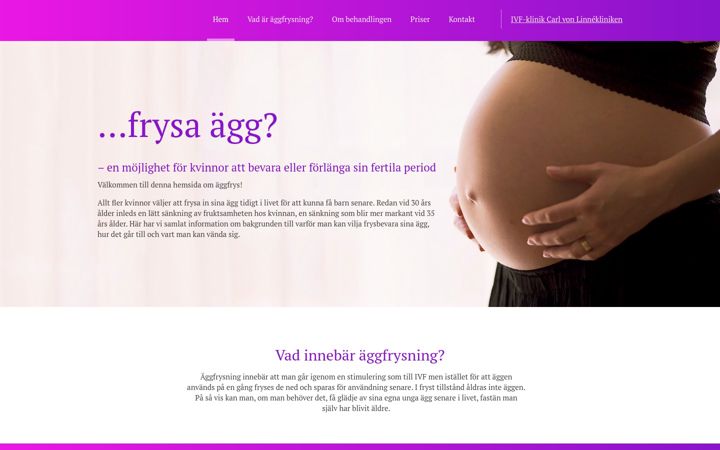Snímek obrazovky xn--ggfrys-9ta.com
