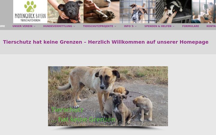 Zrzut ekranu xn--pfotenglck-bayern-92b.de