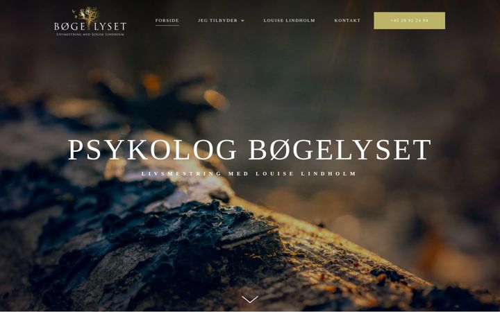 Screenshot of xn--psykologbgelyset-txb.dk
