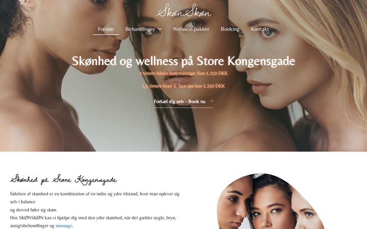 Snímek obrazovky xn--sknskn-cyad.dk