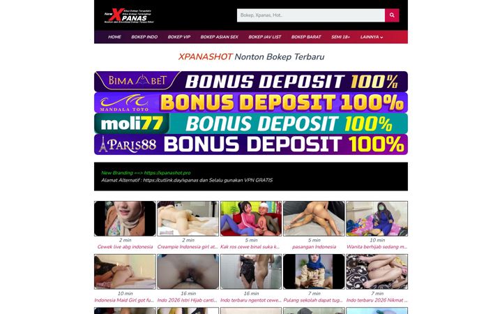 Screenshot of xpanas.sbs