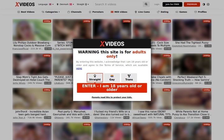 Ekrānuzņēmums no xvideos.com