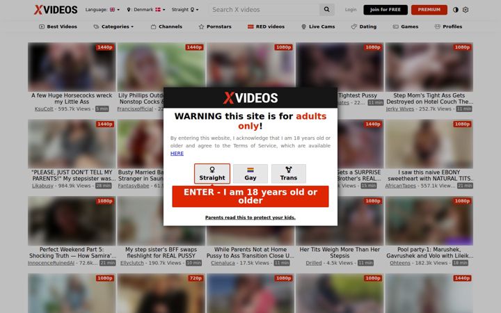 Screenshot of xvideos.tube