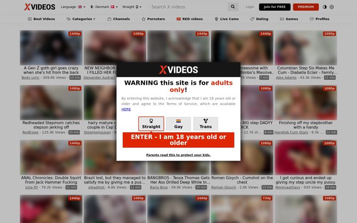 Captură de ecran a xvv1deos.com