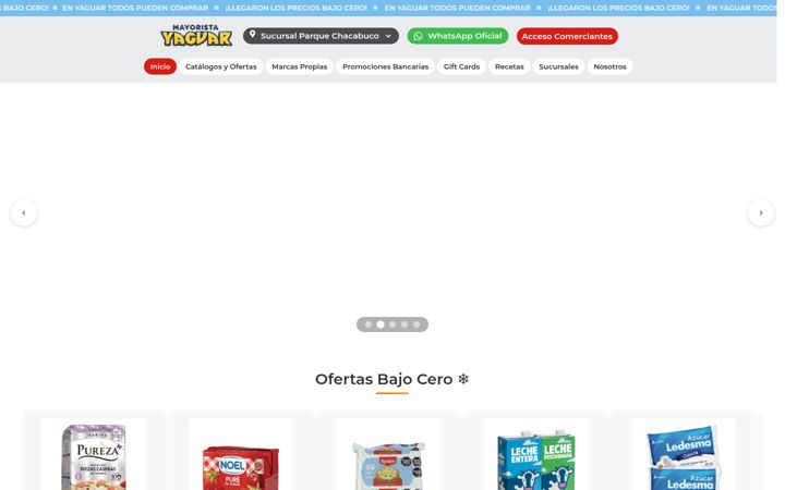 Zrzut ekranu yaguar.com.ar