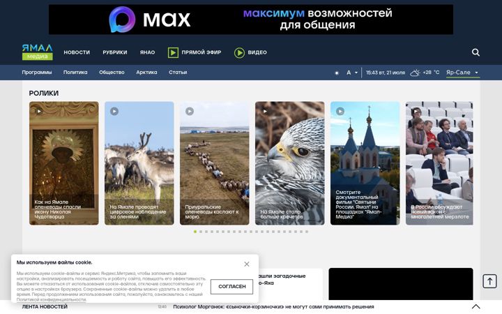 Screenshot of yamal-media.ru