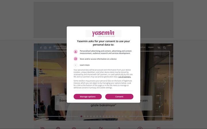 Screenshot of yasemin.com
