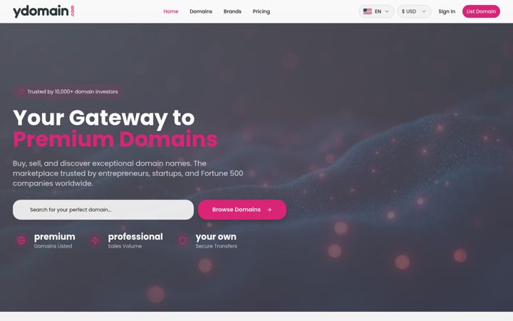 Zrzut ekranu ydomain.com