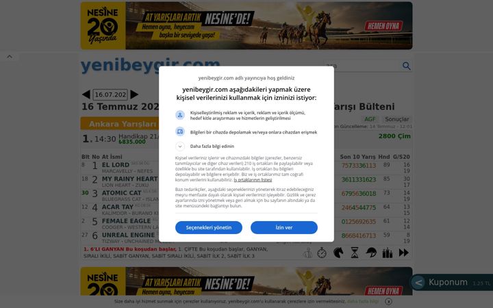Captura de ecrã de yenibeygir.com