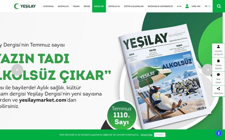 Screenshot of yesilay.org.tr