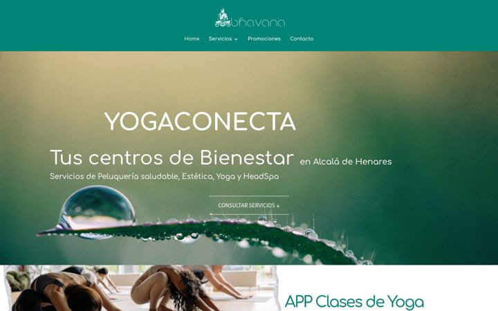 yogaconecta.com