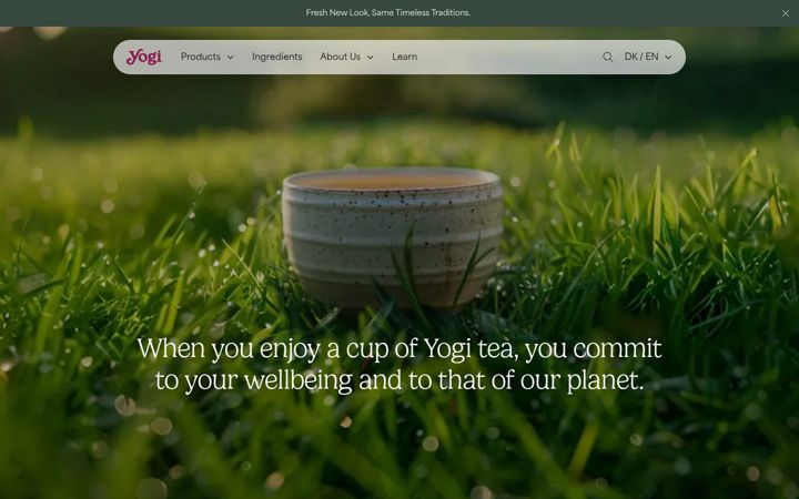 Screenshot of yogi-life.com