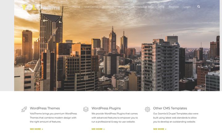 Screenshot of yolotheme.com