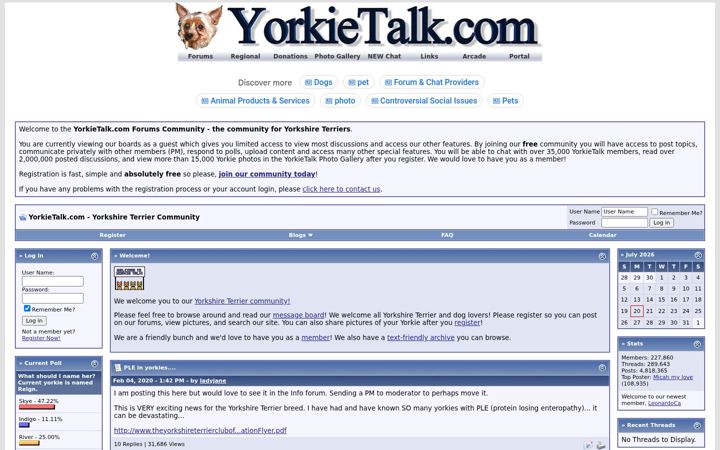 Screenshot of yorkietalk.com