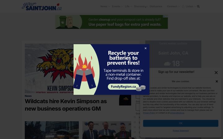 Screenshot of yoursaintjohn.ca