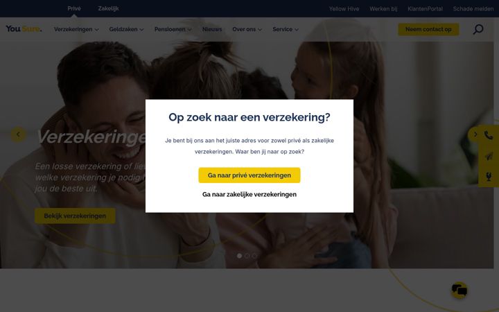 Skjámynd af yousure.nl