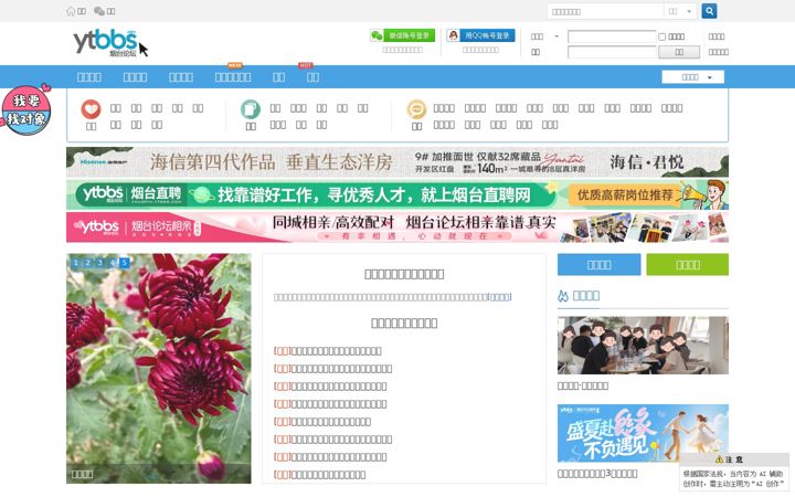Screenshot of ytbbs.com
