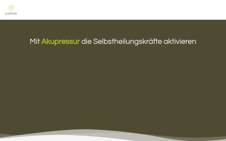 Zrzut ekranu yuansu.ch