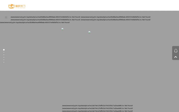 Screenshot of yylm.top