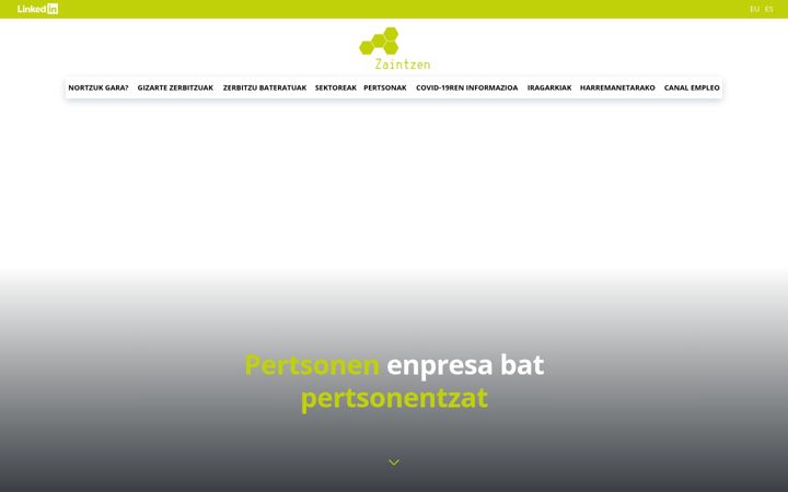 zaintzen.eus