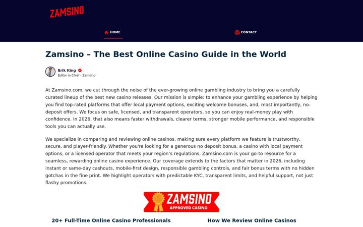 Screenshot of zamsino.com