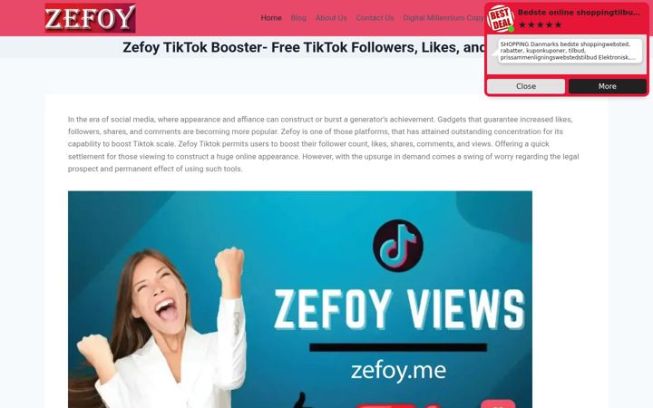 Screenshot of zefoy.me