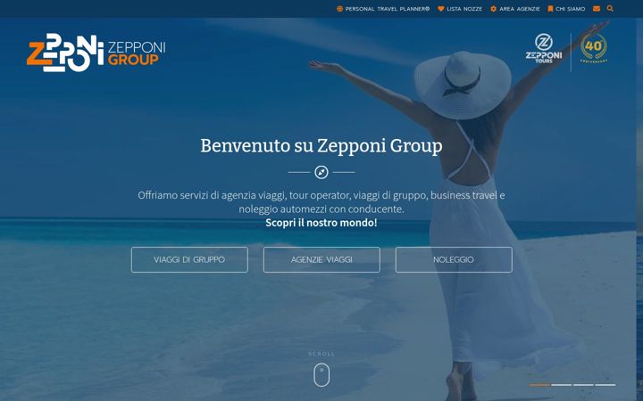 Screenshot of zepponigroup.it