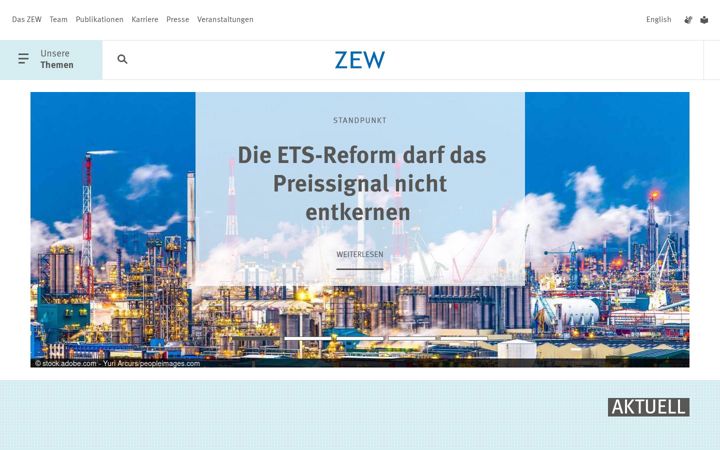Screenshot of zew.de
