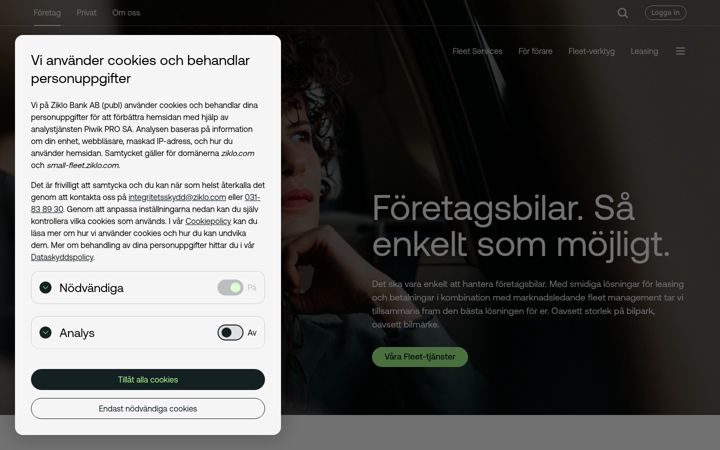 Screenshot of ziklo.com