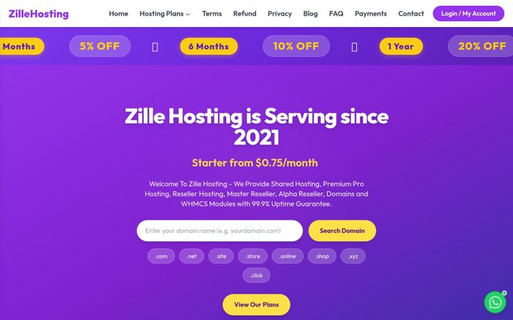 Екранна снимка на zillehosting.com