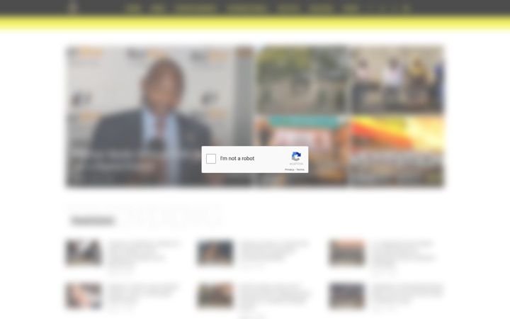 Snímek obrazovky zimcelebsblitz.com