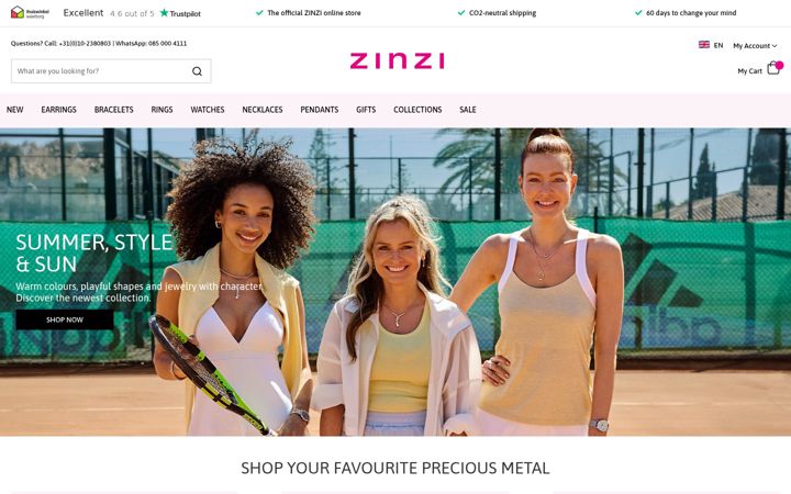 Screenshot of zinzi.com