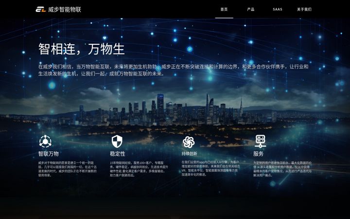 Screenshot of zlmicro.com