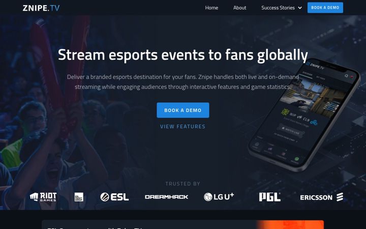Screenshot of znipe.tv
