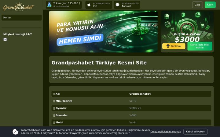 Screenshot of zoearcherbooks.com