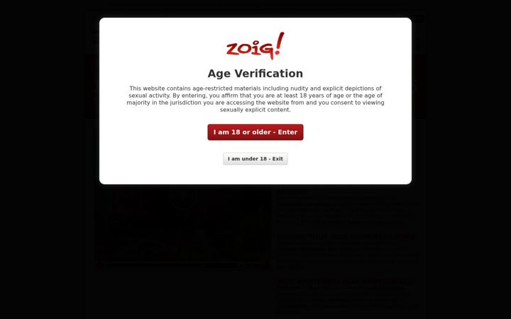 Screenshot of zoig.com