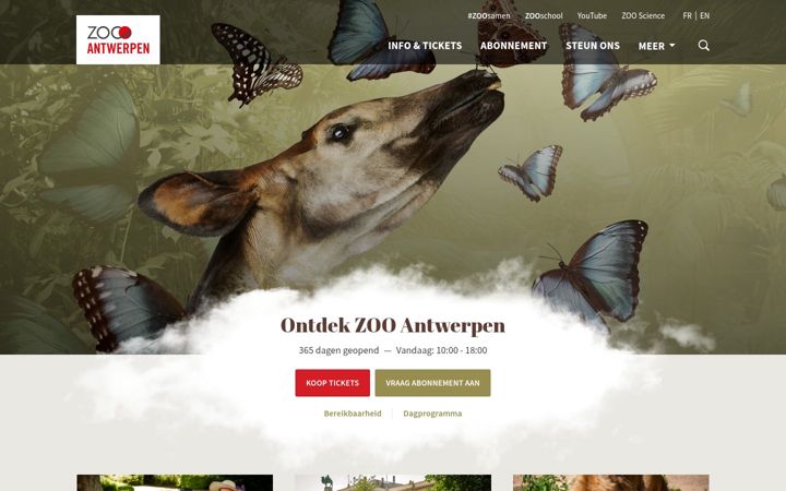 Screenshot of zooantwerpen.be