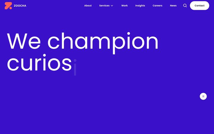 Screenshot of zoocha.com