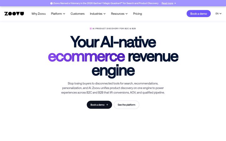 Zrzut ekranu zoovu.com